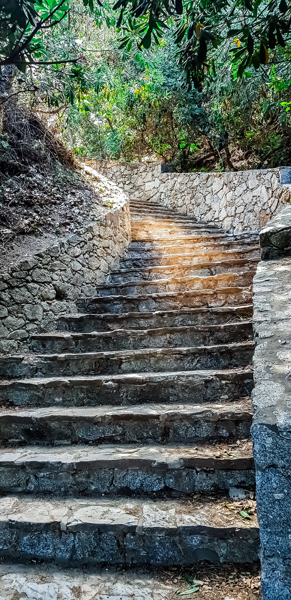 una serie di gradini di pietra che portano alla cima di una collina