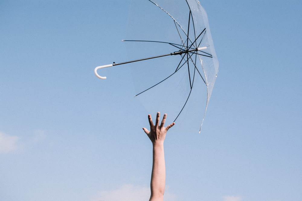 clear and black umbrella in mid air above hand