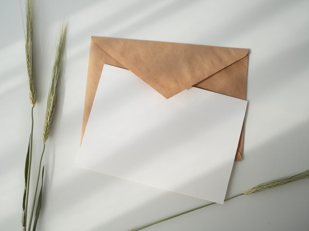 白い紙と茶色の封筒