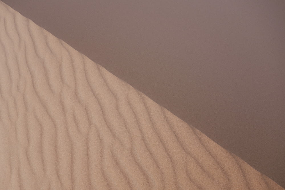 a lone bird is flying over a sand dune