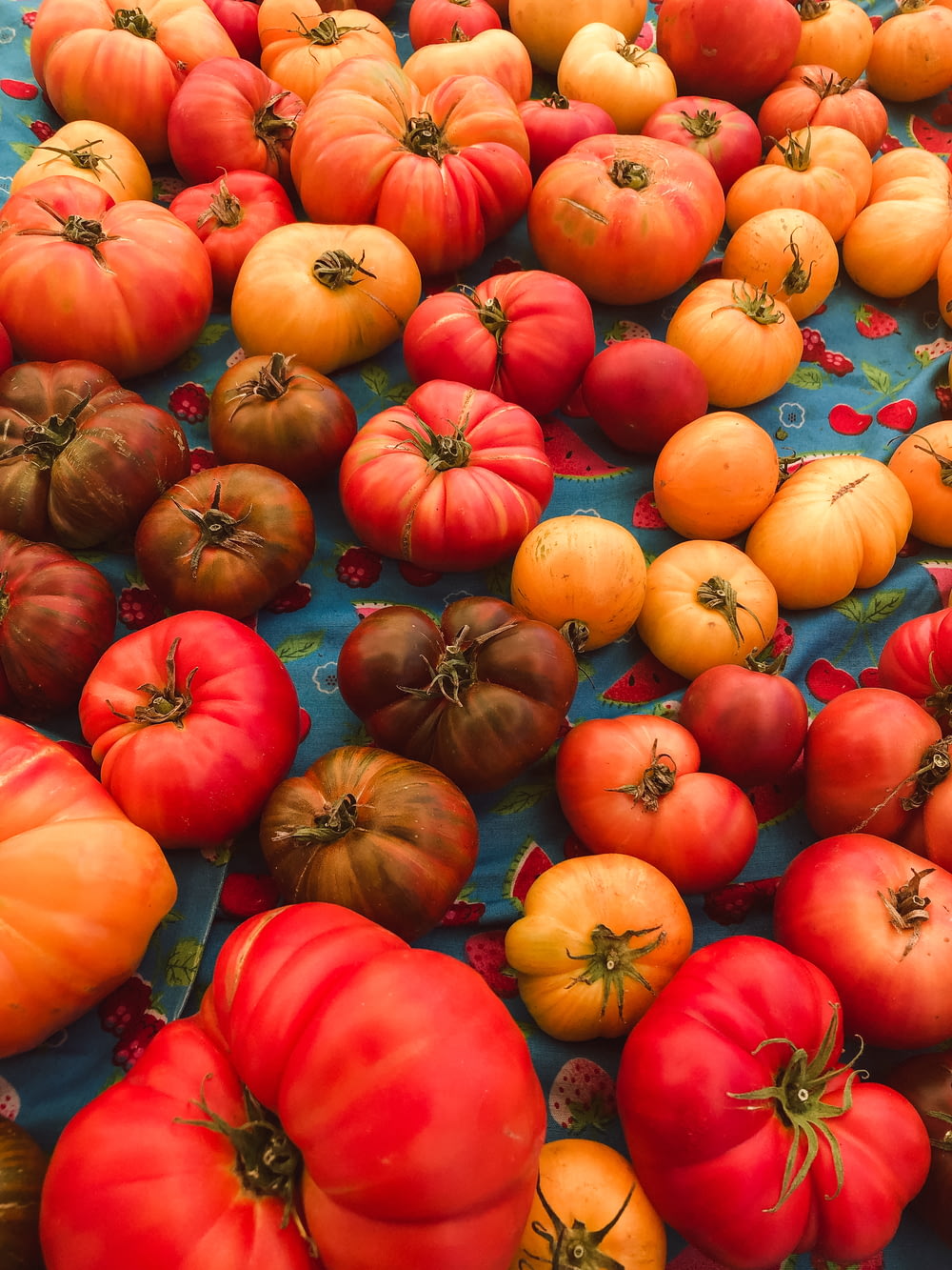 red and orange tomatoes