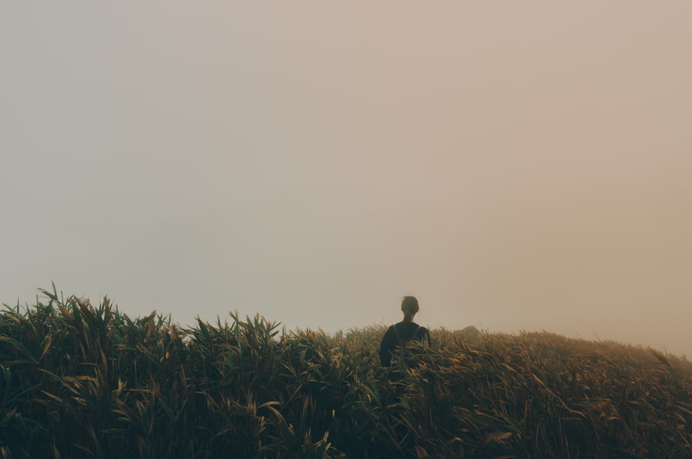 una persona in piedi in un campo di erba alta