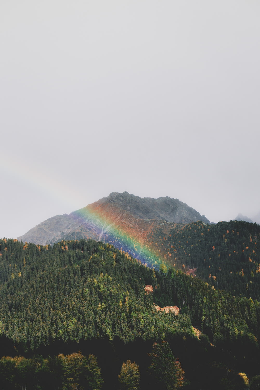 rainbow over green tree covered hill