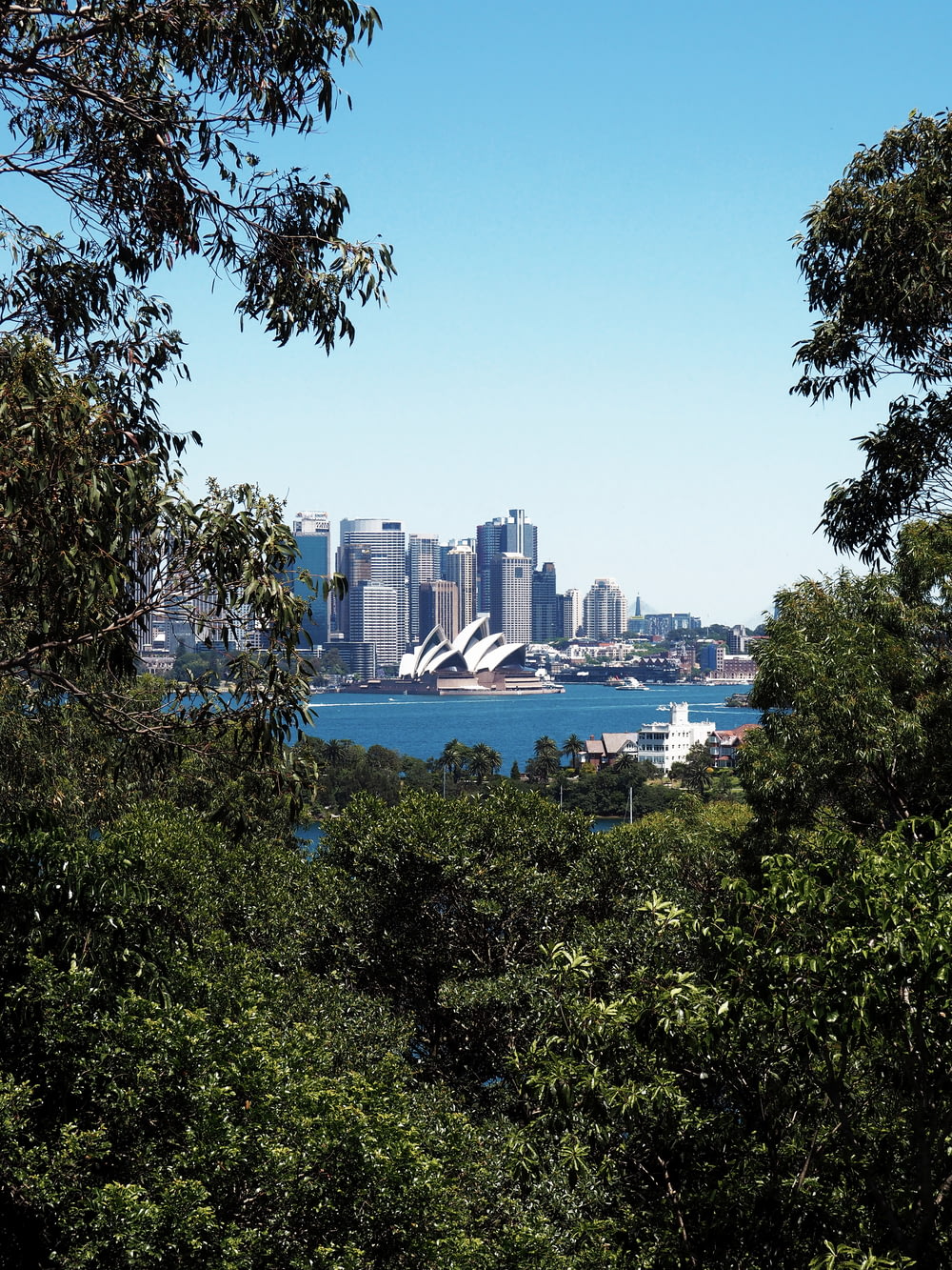 Teatro dell'opera di Sydney vicino al mare blu sotto cieli blu e bianchi durante il giorno