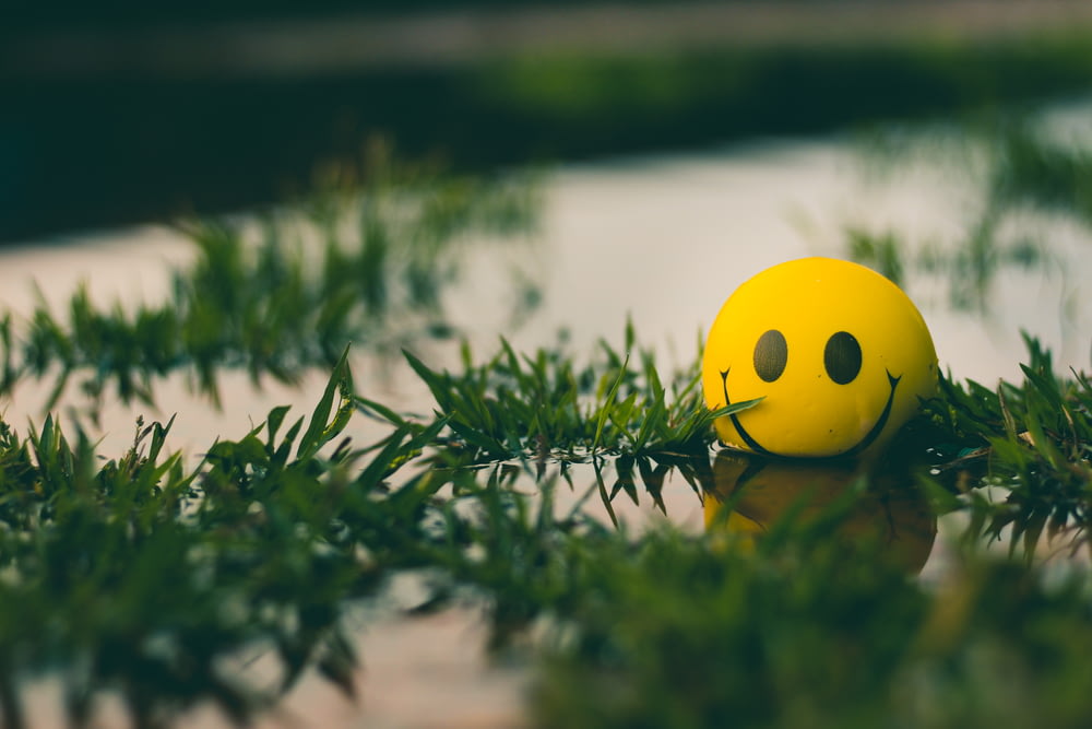 풀밭에 앉아 웃는 얼굴을 한 노란 공