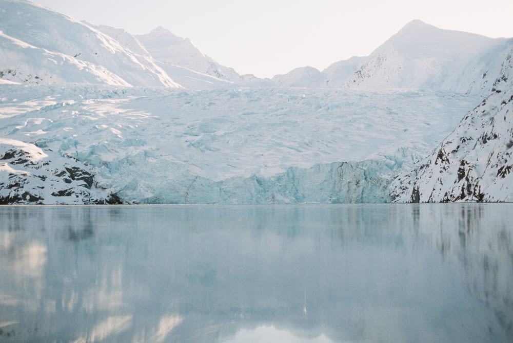 glacier beside body of water