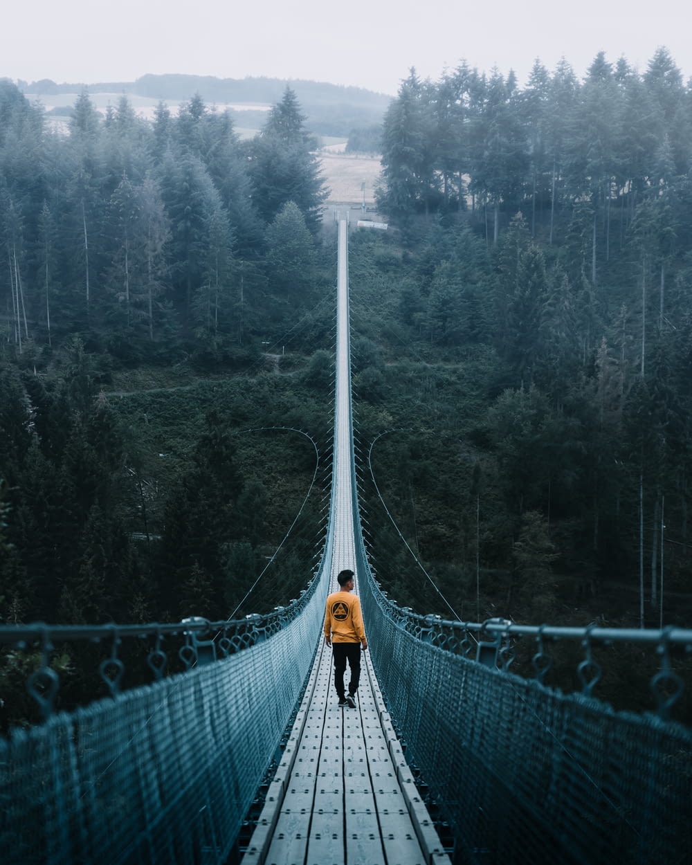 person on hanging bridge