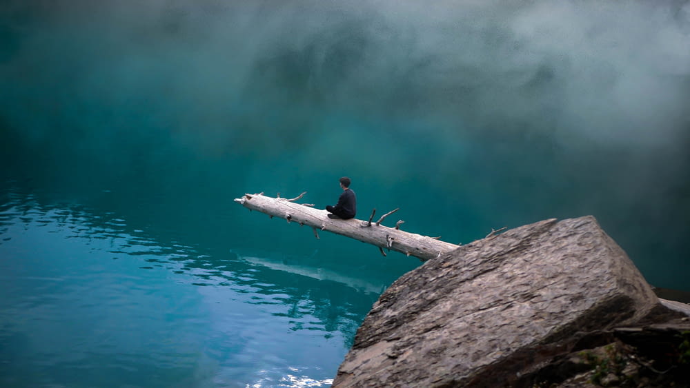 man sitting on drift wood above lake