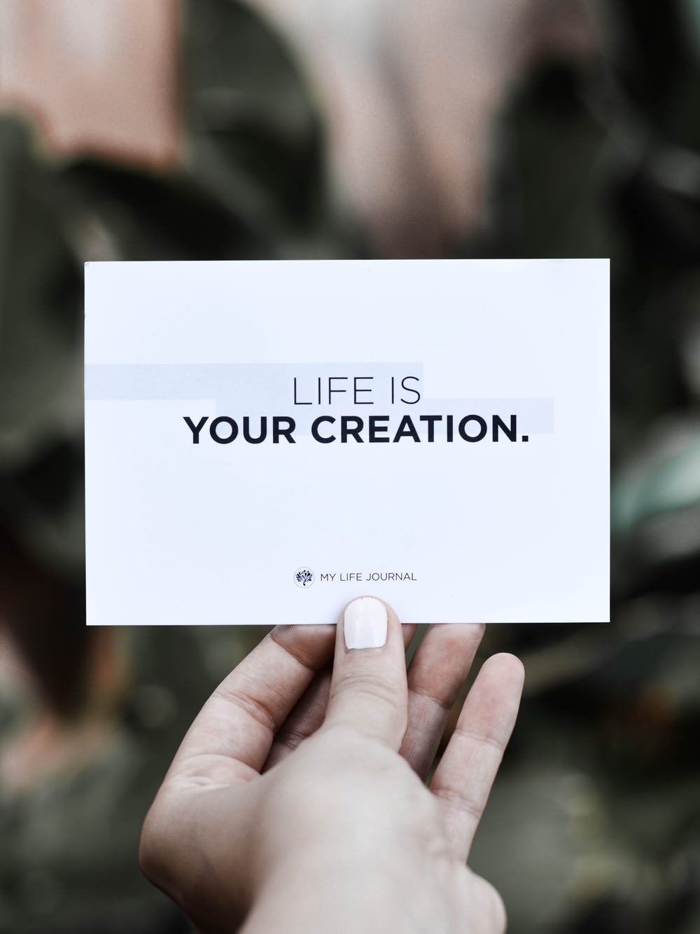 생명은 당신의 창조 카드입니다