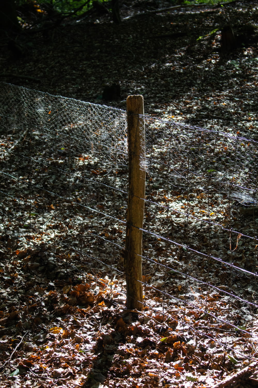 a fence in the middle of a field with leaves on the ground