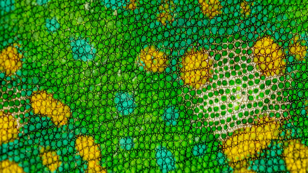 a close up of a green and yellow pattern