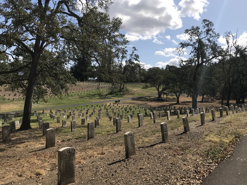 brown graveyard