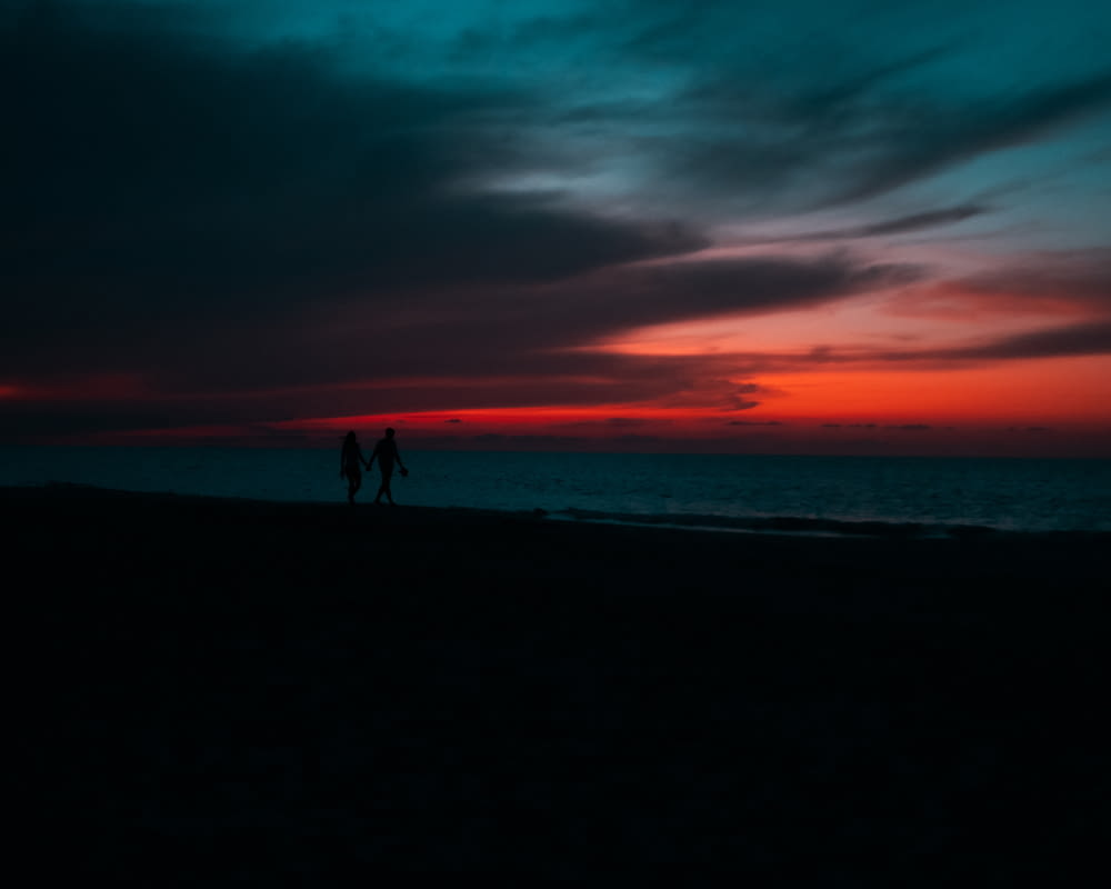 two person walking on seashore