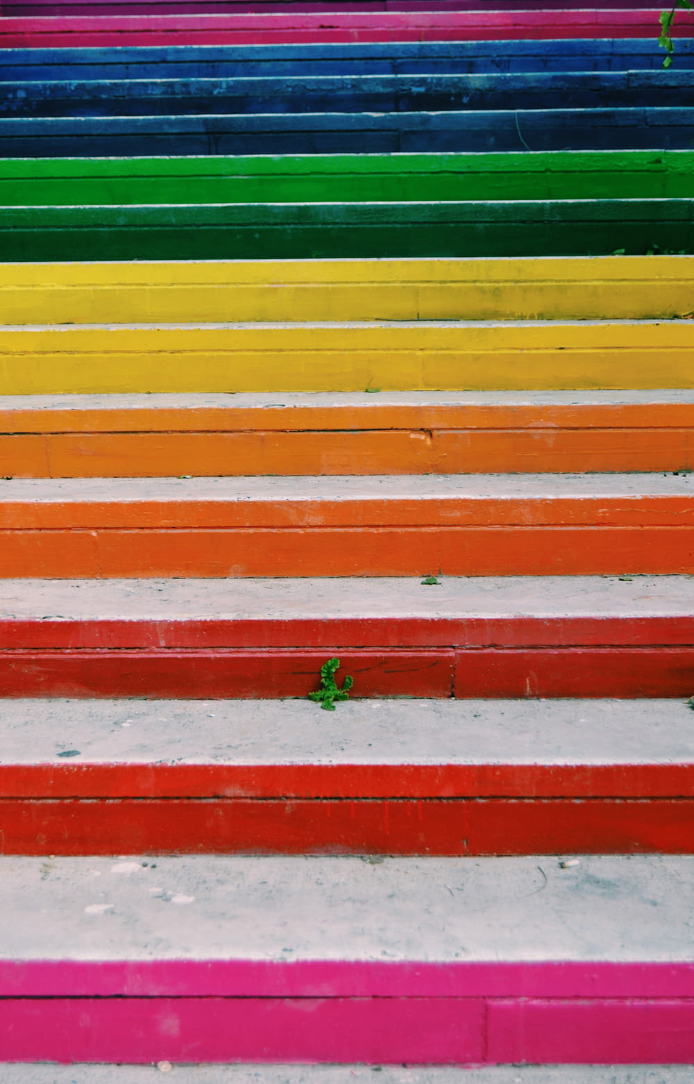 assorted-color stairs