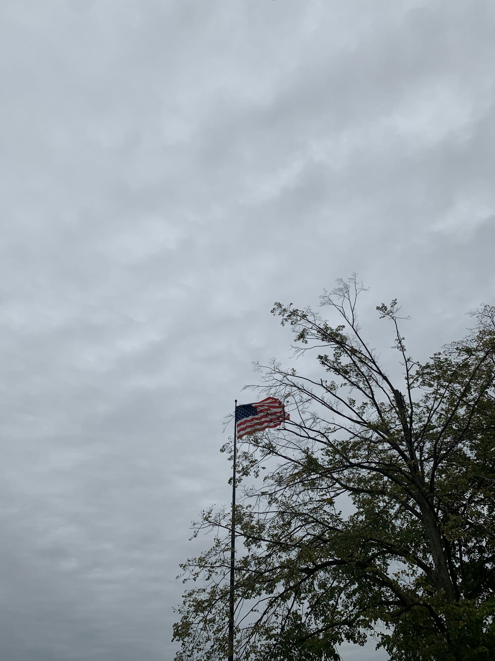 flag of United States of America beside green trees under cloudy sky
