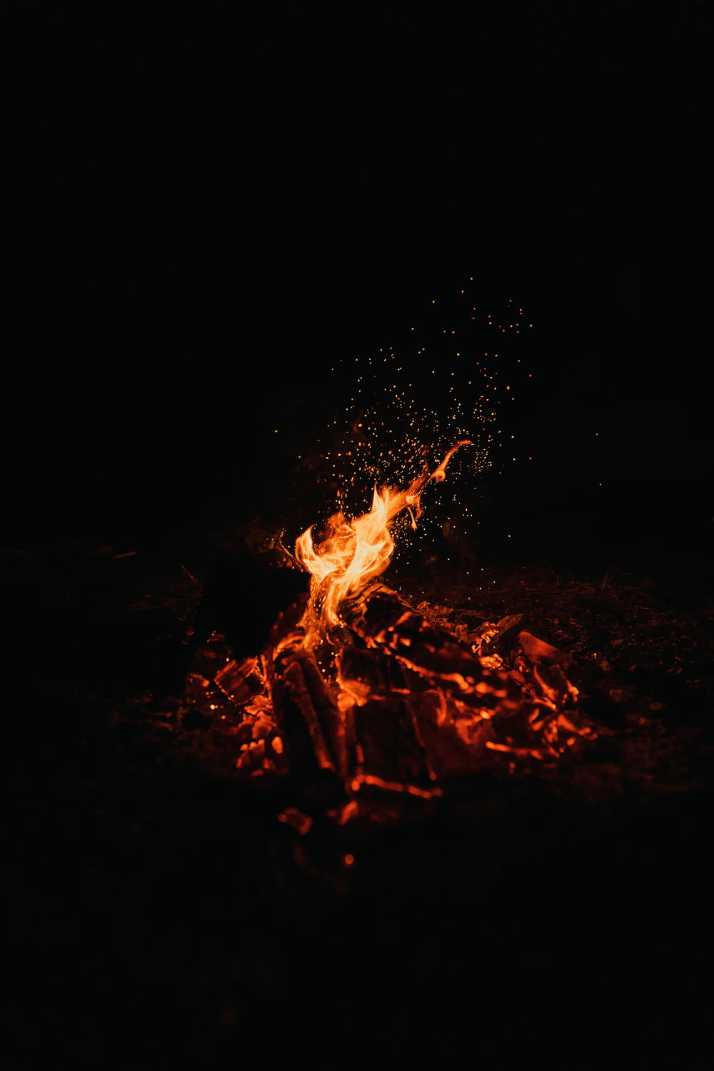 焚き火の写真