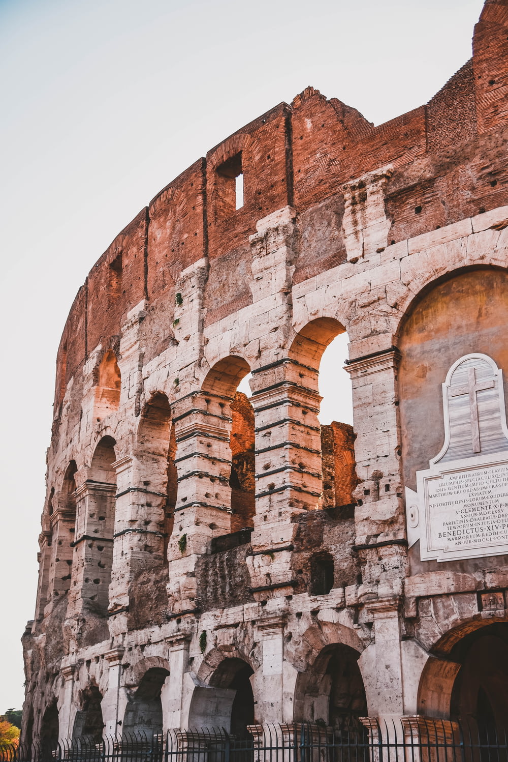 Coliseum Rome, Italy