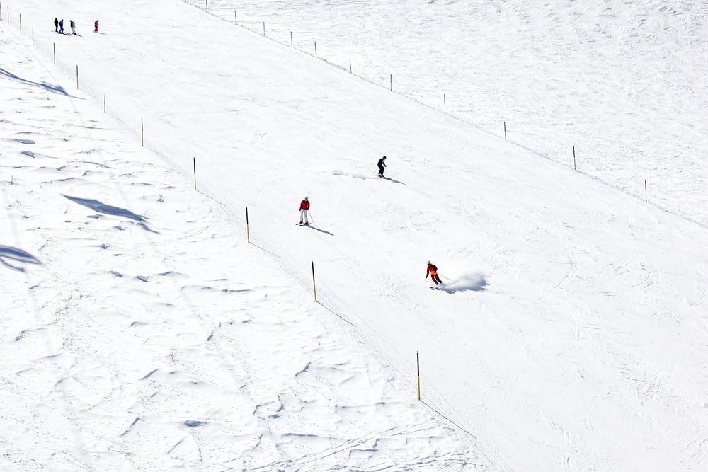 people skiing on snow