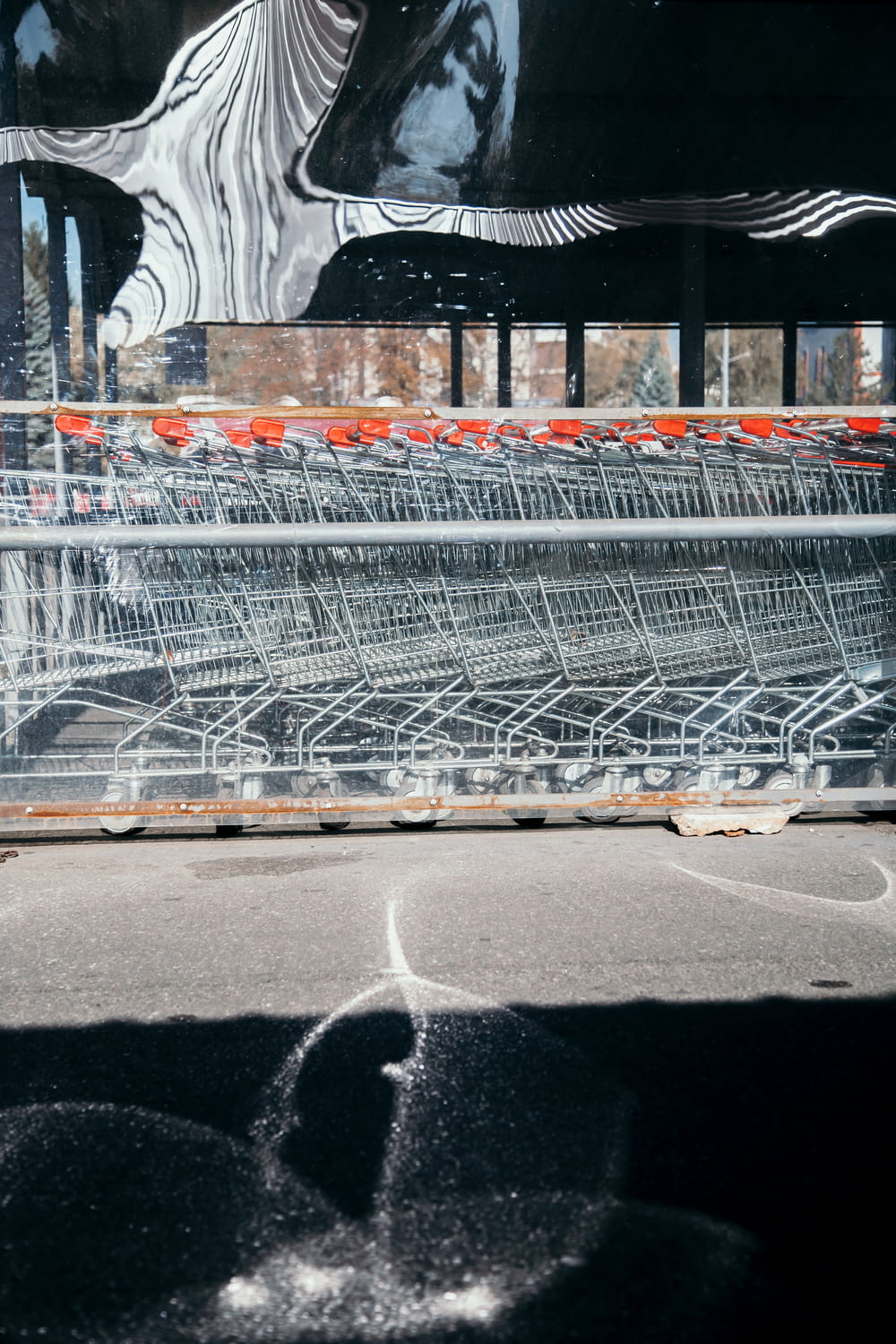photo of grocery carts