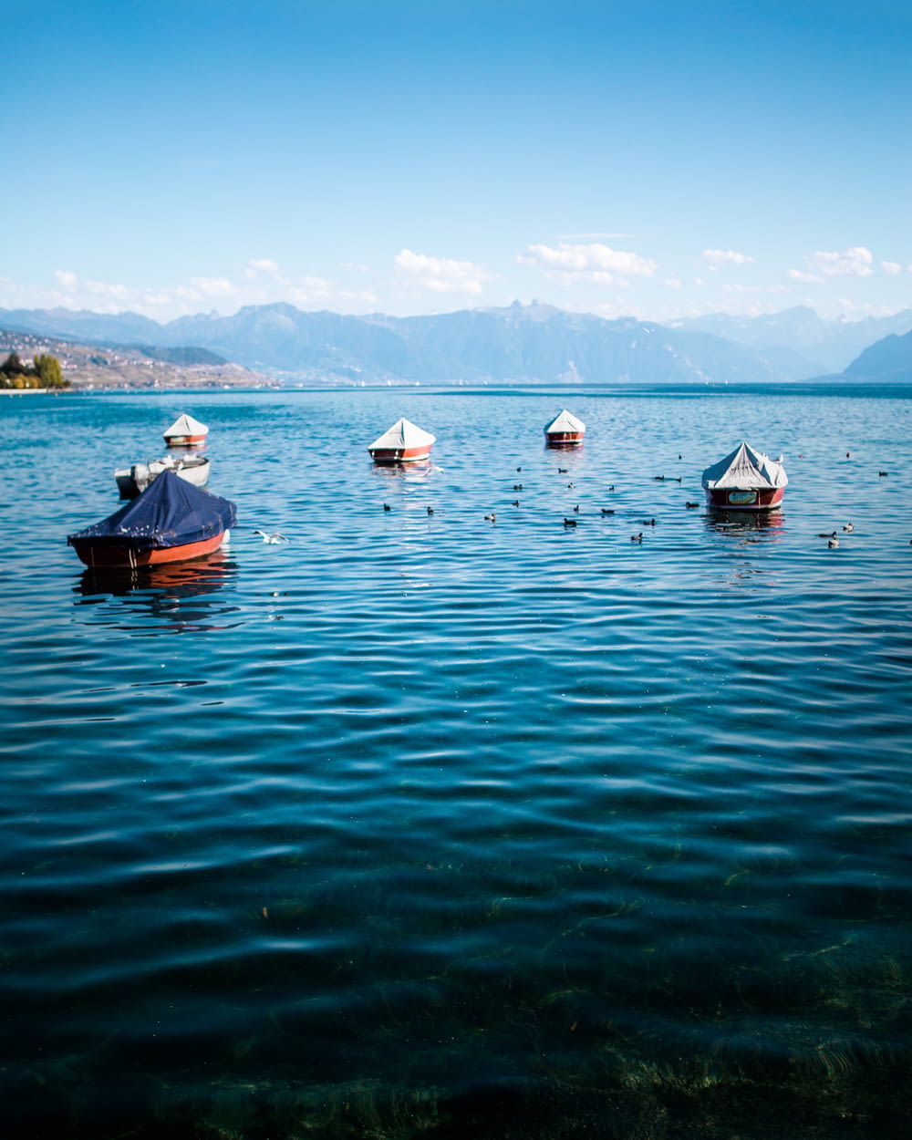 white and blue canoes on body of water during daytime