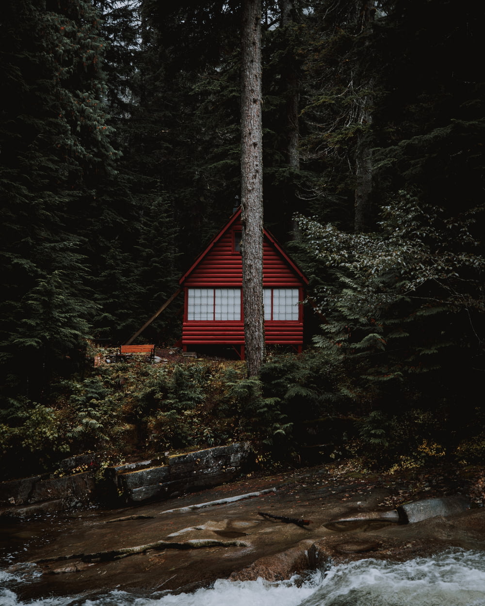 red wooden house near tree