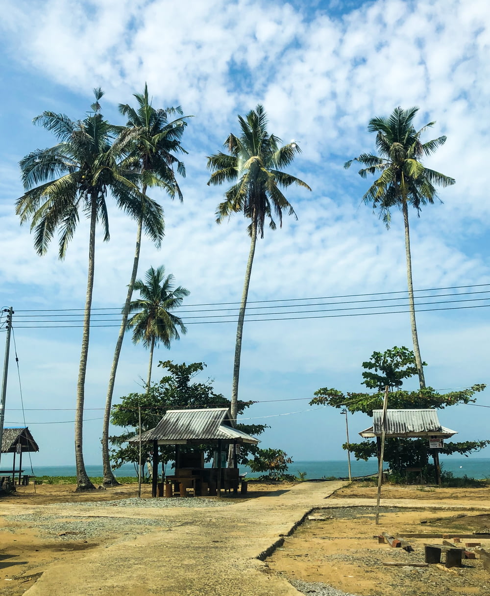 grey gazebo beside coconut trees during daytime