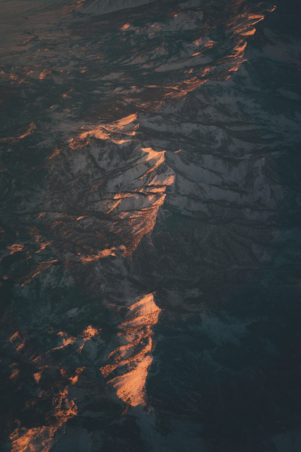 ロッキー山脈の写真