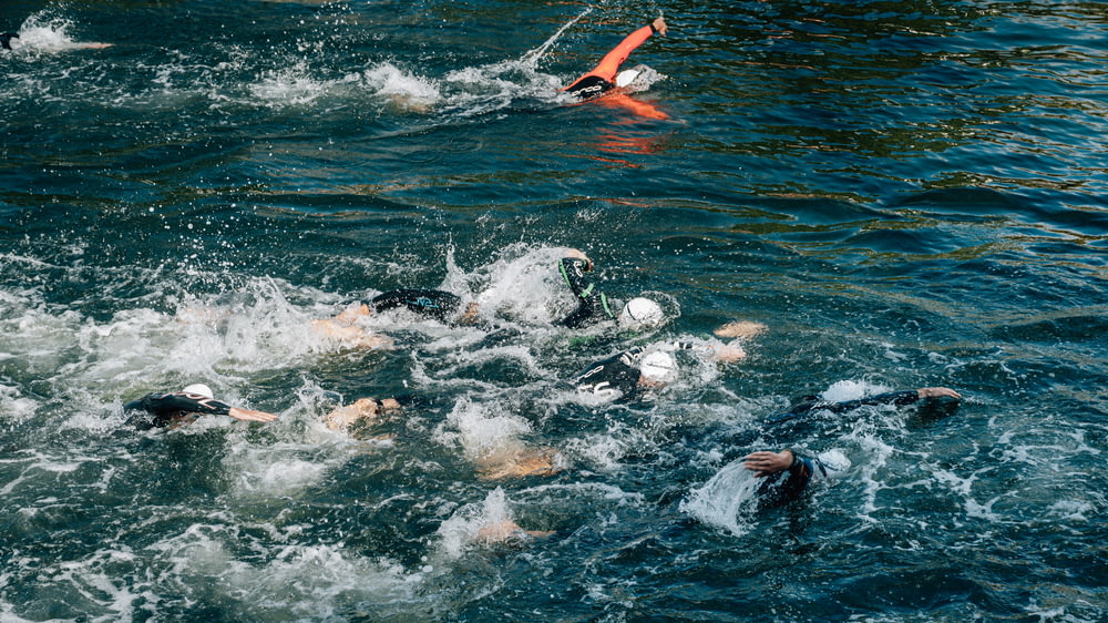 people swimming during day
