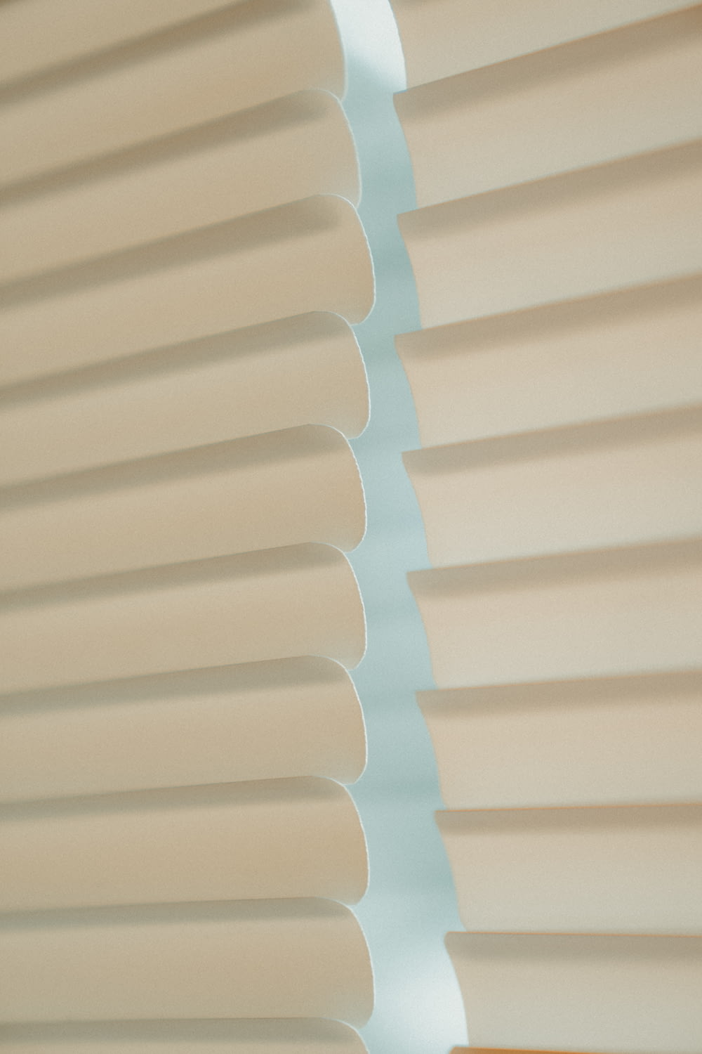 white Venetian blinds