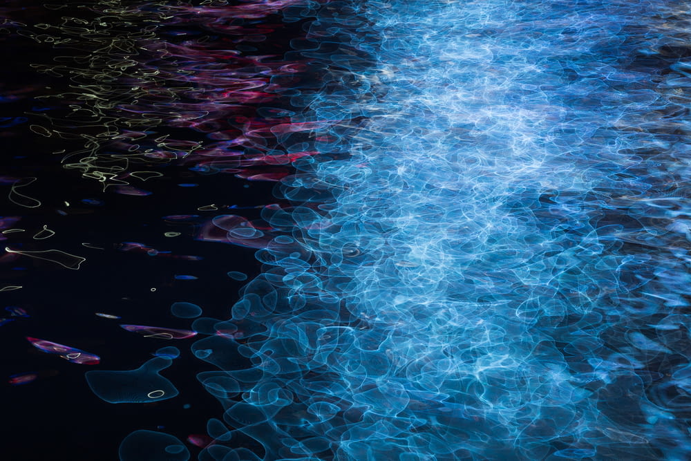 close-up photo of blue and purple light reflects on water