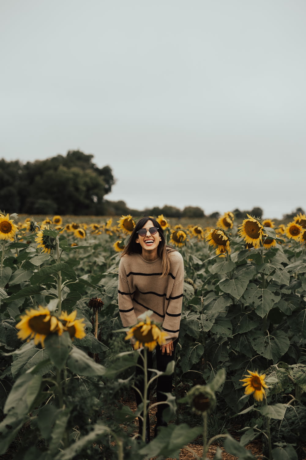 man in black and brown striped sweater standing near sunflower field