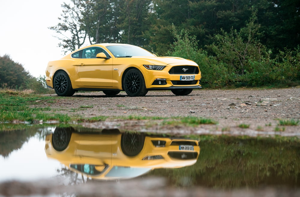 yellow Ford Mustang coupe parked near green green leaf plants