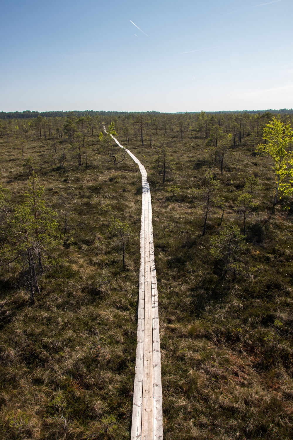una lunga passerella di legno in mezzo a un campo