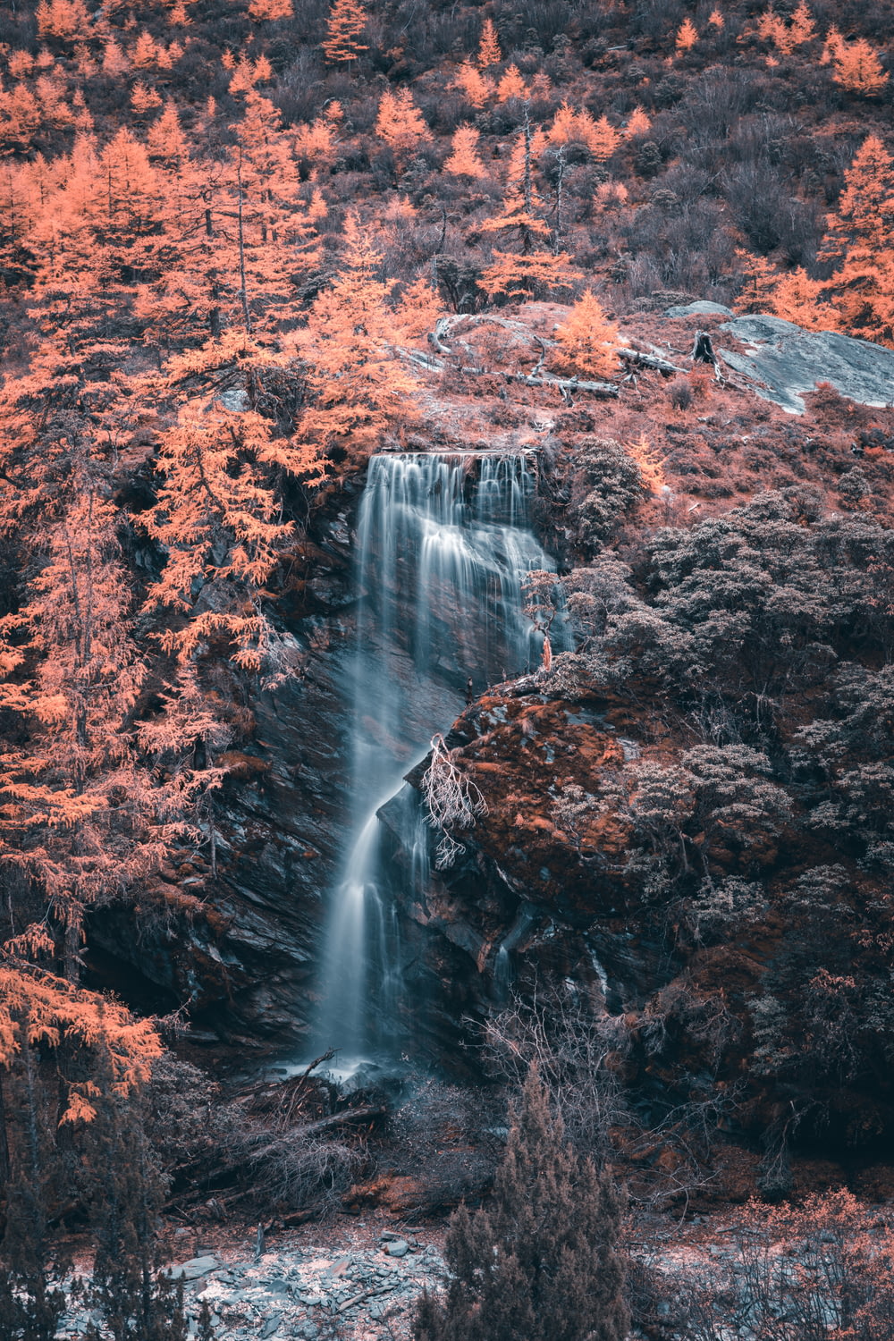 waterfalls in forest during daytime