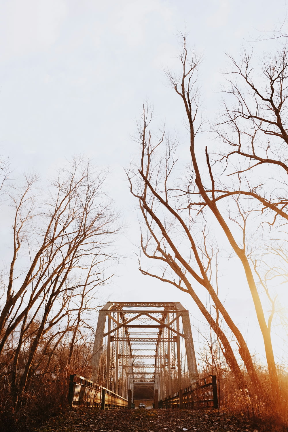 Pont dans la forêt