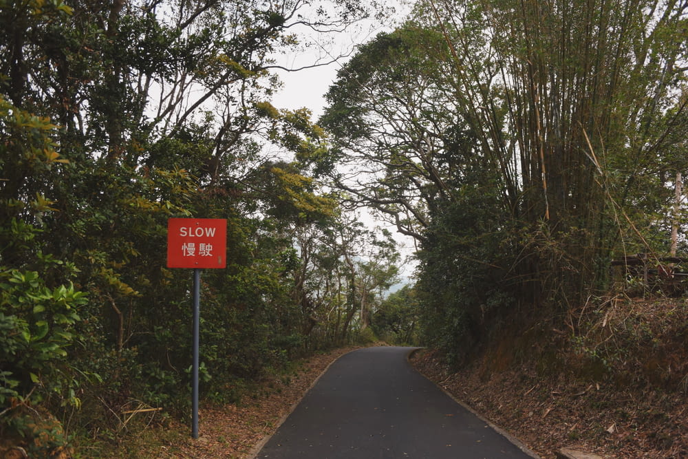 gray road surrounded with green trees with slow road sign