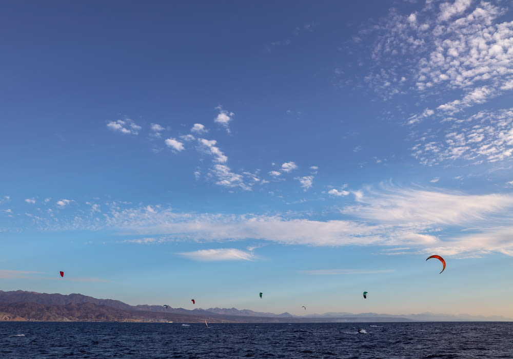 people paragliding