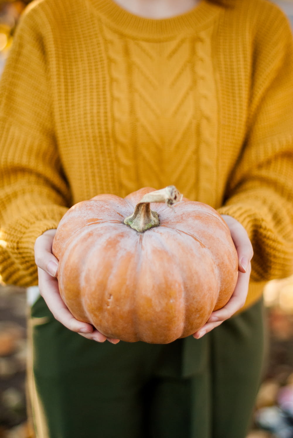 woman in brown sweater holding pumpkin