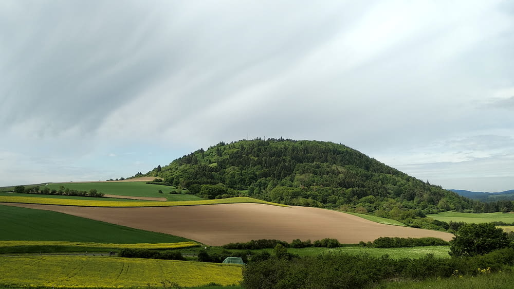 landscape crop field and mountain