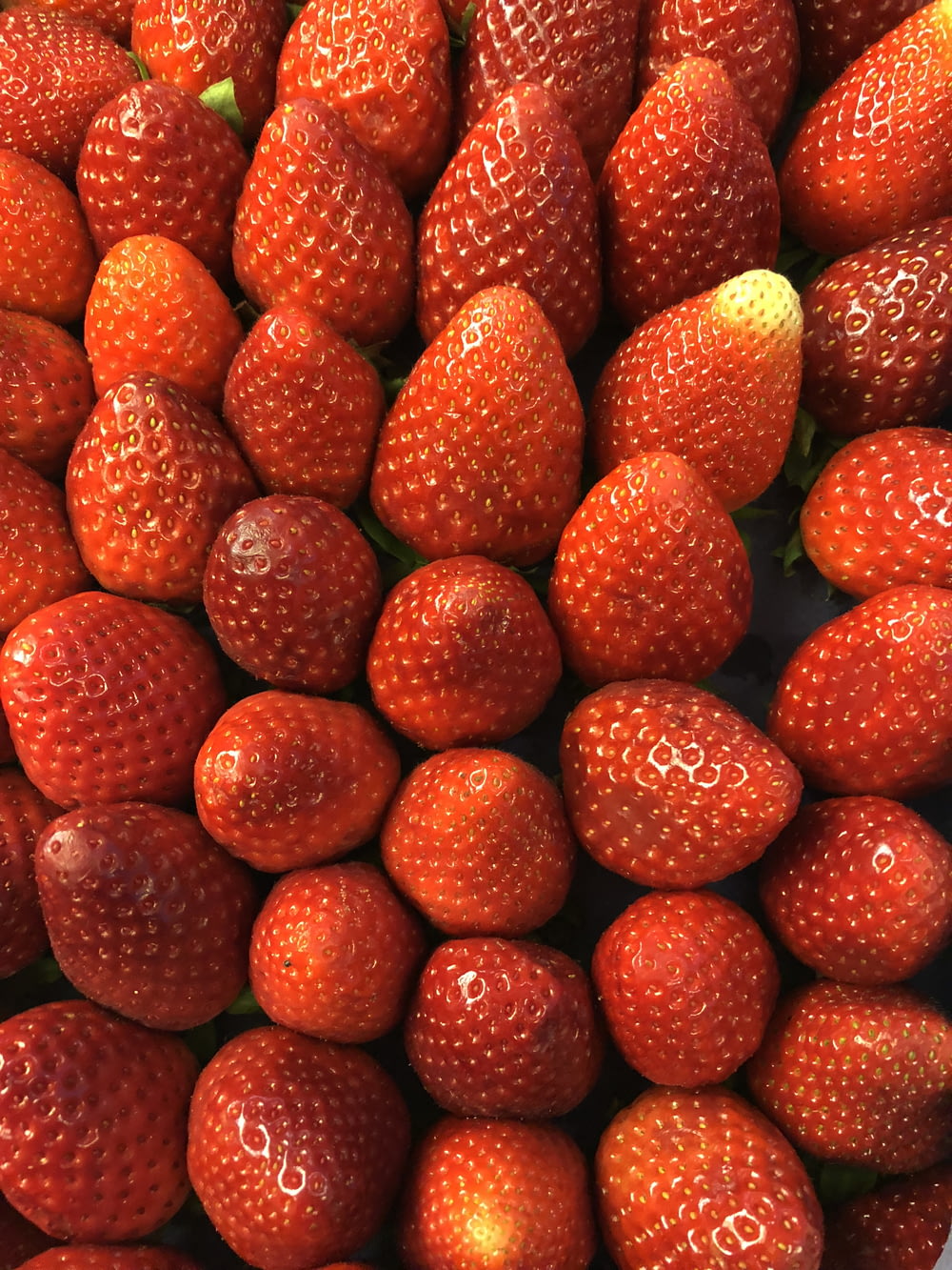 Bund Erdbeeren
