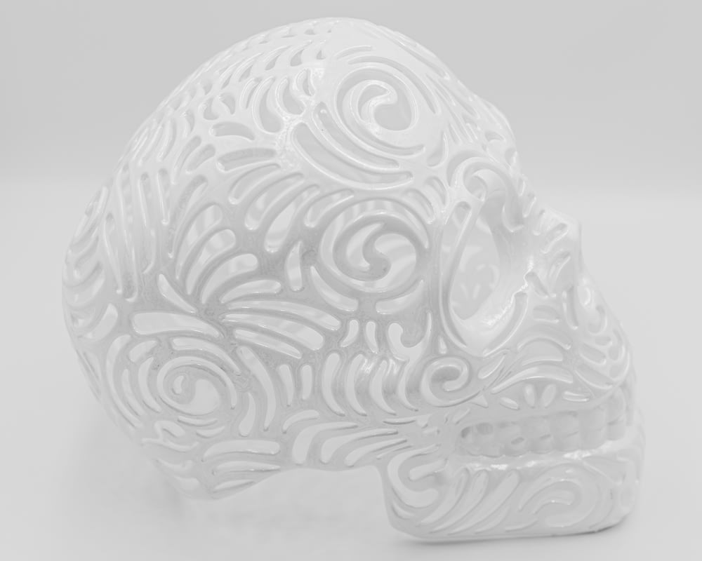 白い背景に頭蓋骨の白い彫刻
