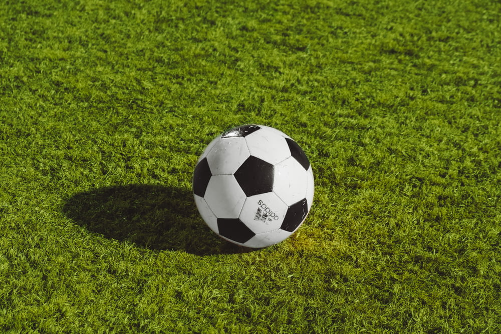 Ballon de football blanc et noir sur un terrain en herbe