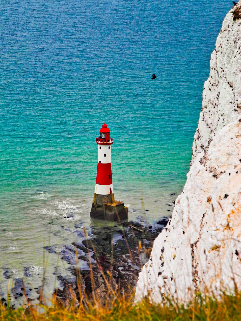 white and red lighthouse near ocean
