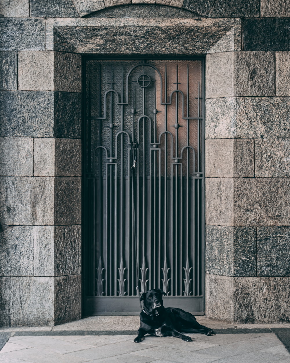 chien noir couché sur le sol près de la porte