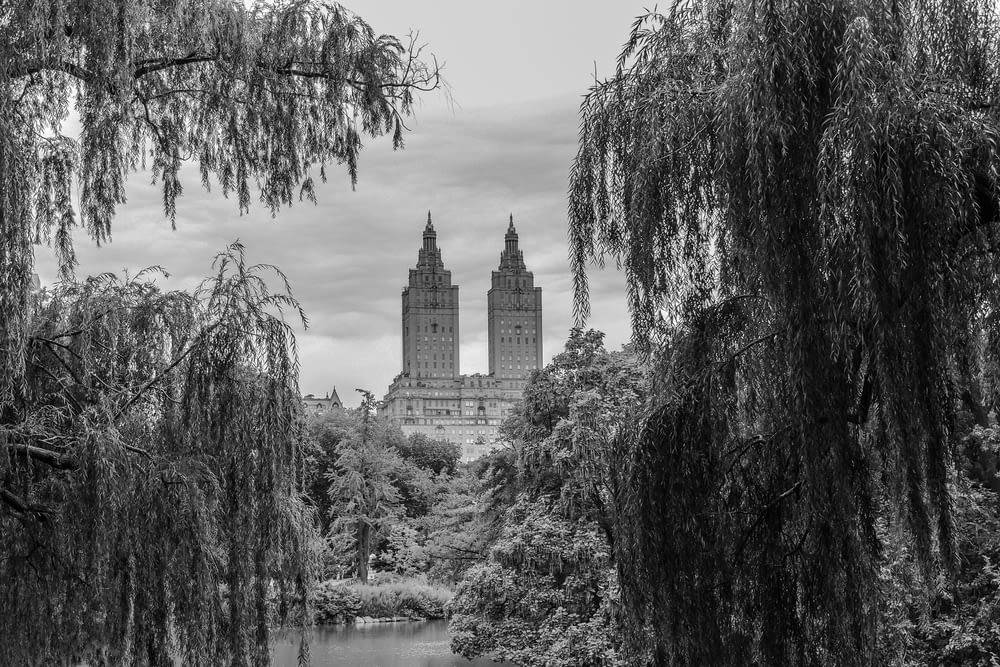 grayscale photography of castle surrounded with trees