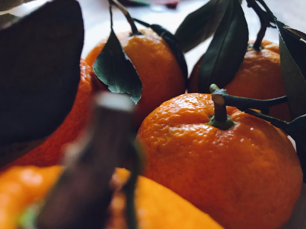 selective focus photography of orange fruits