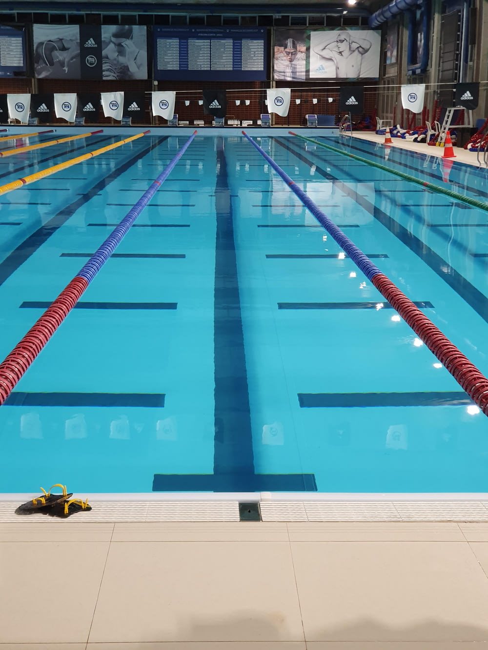 piscine olympique bleue