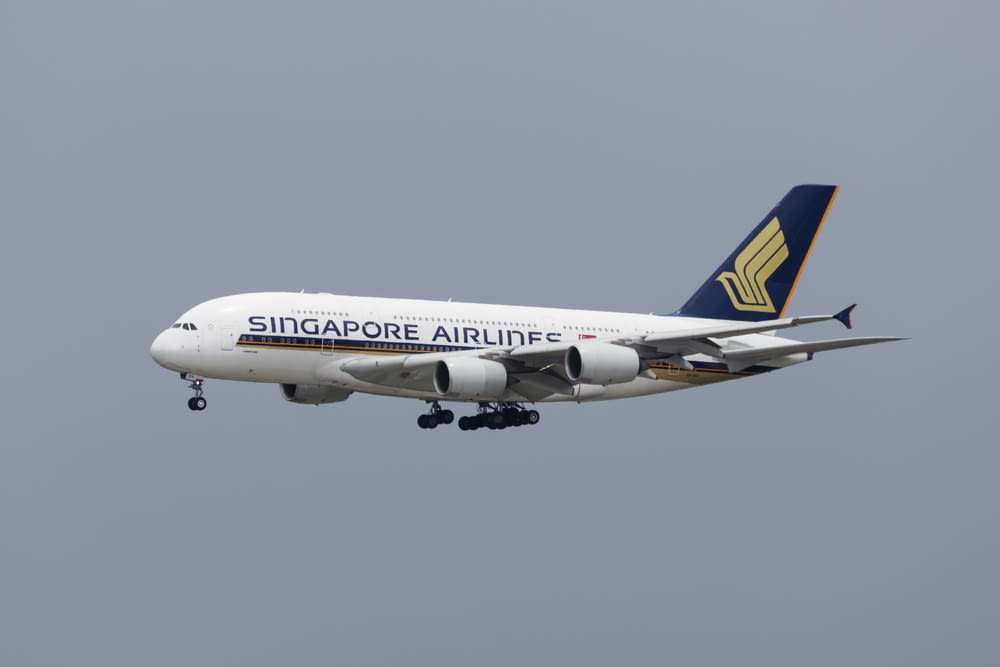 Singapore Airliner