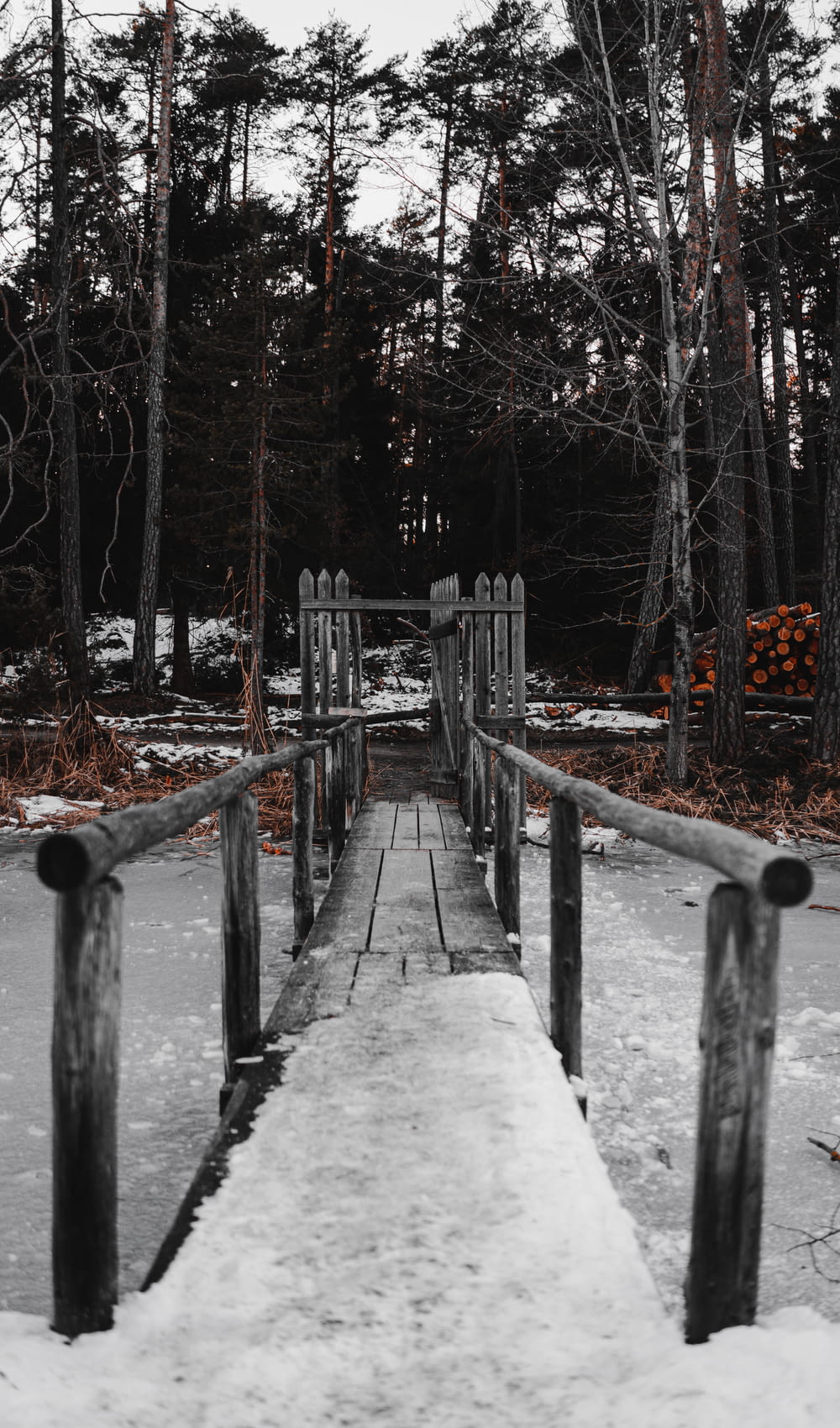 gray wooden footbridge covered with snow surrounded with green trees