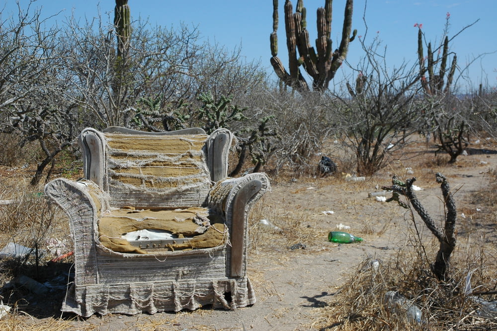 teared sofa chair on dirt road near cacti